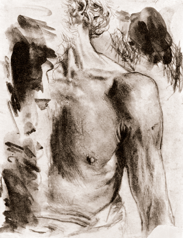  Adolpyh Von Menzel —— 一个男人的胸部和上臂